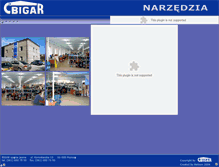 Tablet Screenshot of bigar.pl